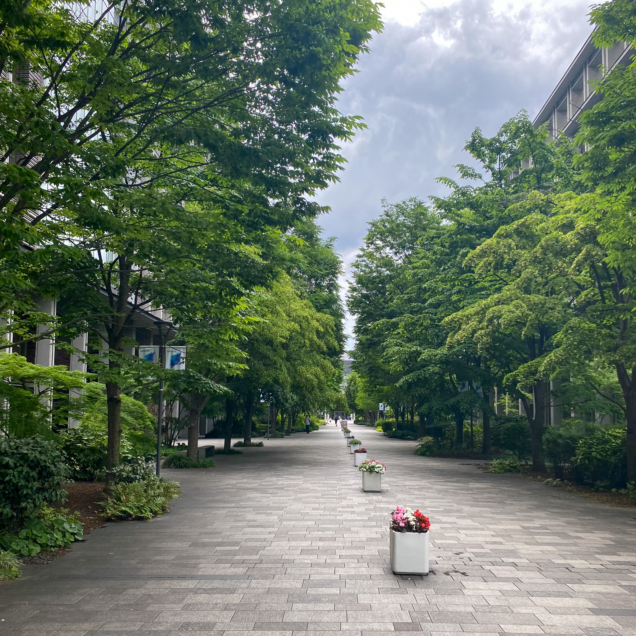 Tokyo University of Science, Katsushika Campus.